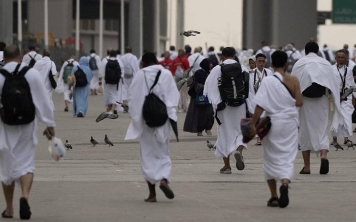 اكتمال تفويج أكثر من 24 ألف حاج يمني إلى مكة بسلاسة وتنظيم دقيق