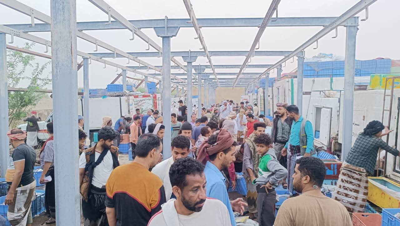 نقل سوق الأسماك إلى الضباب: الأسباب والملابسات يكشفها مدير مؤسسة المسالخ بتعز