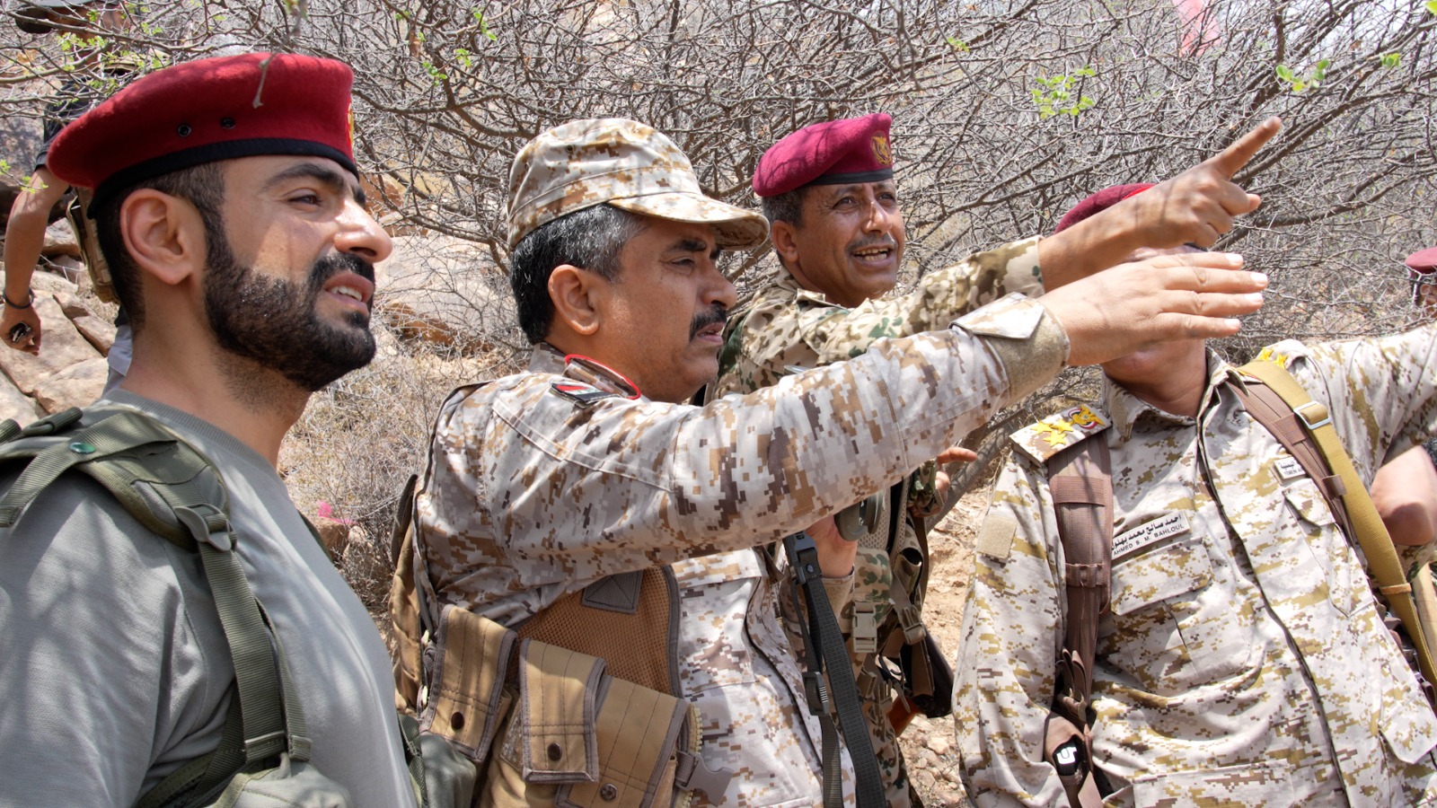 قيادة الدفاع تتفقد جبهات الساحل الغربي وتؤكد: جاهزية عالية ومعنويات قتالية تُمهد لاستعادة صنعاء