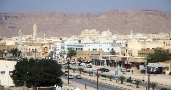 إحباط محاولة تهريب حبوب مخدرة في القطن وضبط متهمين حاولا مقاومة رجال الأمن